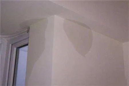 3.webp.jpg 3.webp.jpg