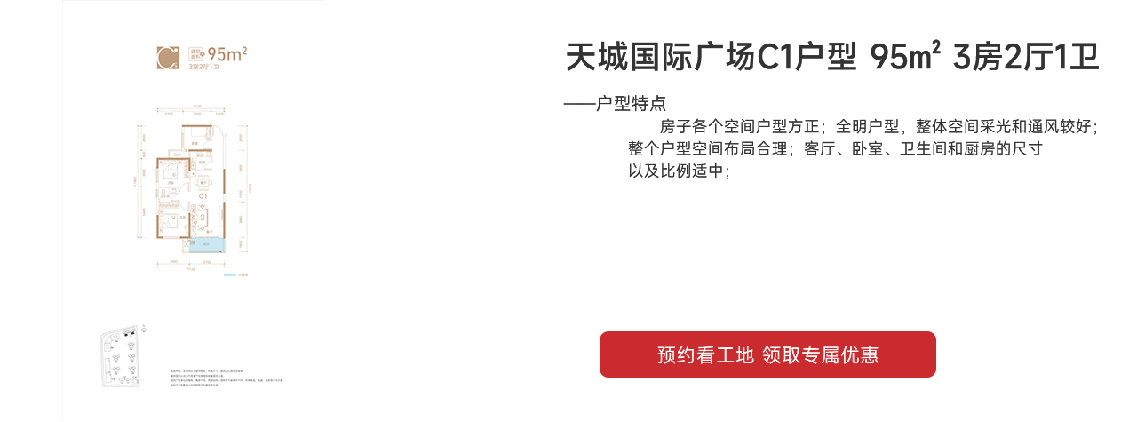 天城國(guó)際廣場(chǎng)（天城商業(yè)廣場(chǎng)）C1戶(hù)型 95㎡
