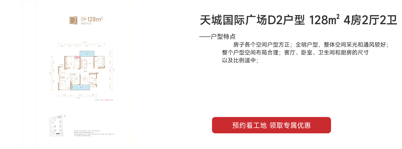 天城國(guó)際廣場(chǎng)（天城商業(yè)廣場(chǎng)）D2戶(hù)型 128㎡